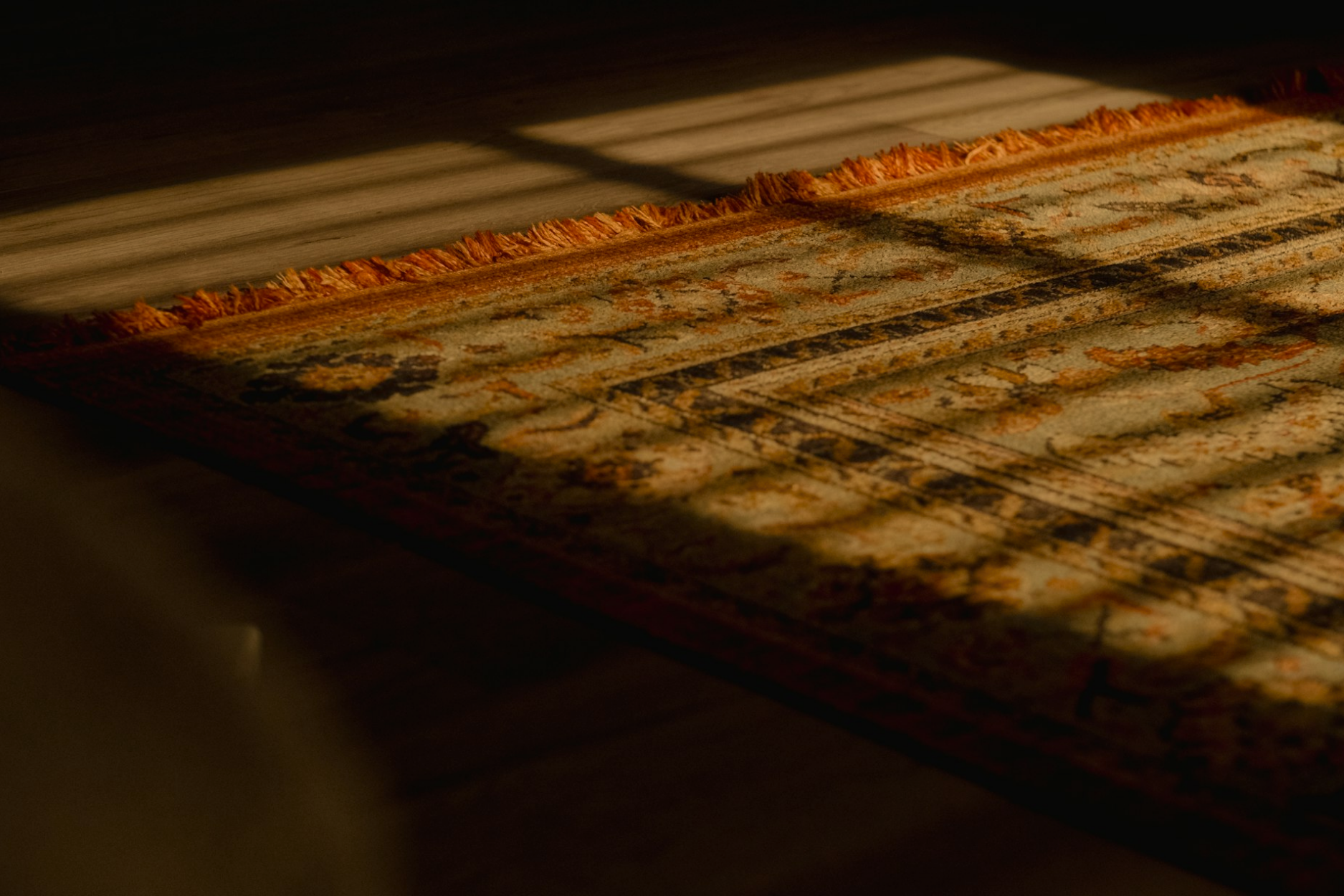 Will Tomorrow Even Come?